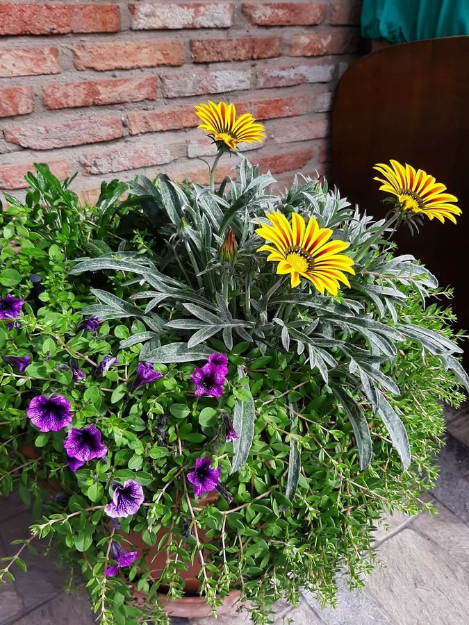 Гостевой дом Guest House 15 Степанцминда-17