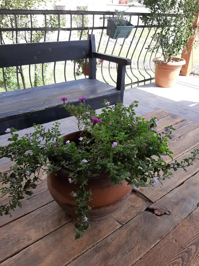 Гостевой дом Guest House 15 Степанцминда-19